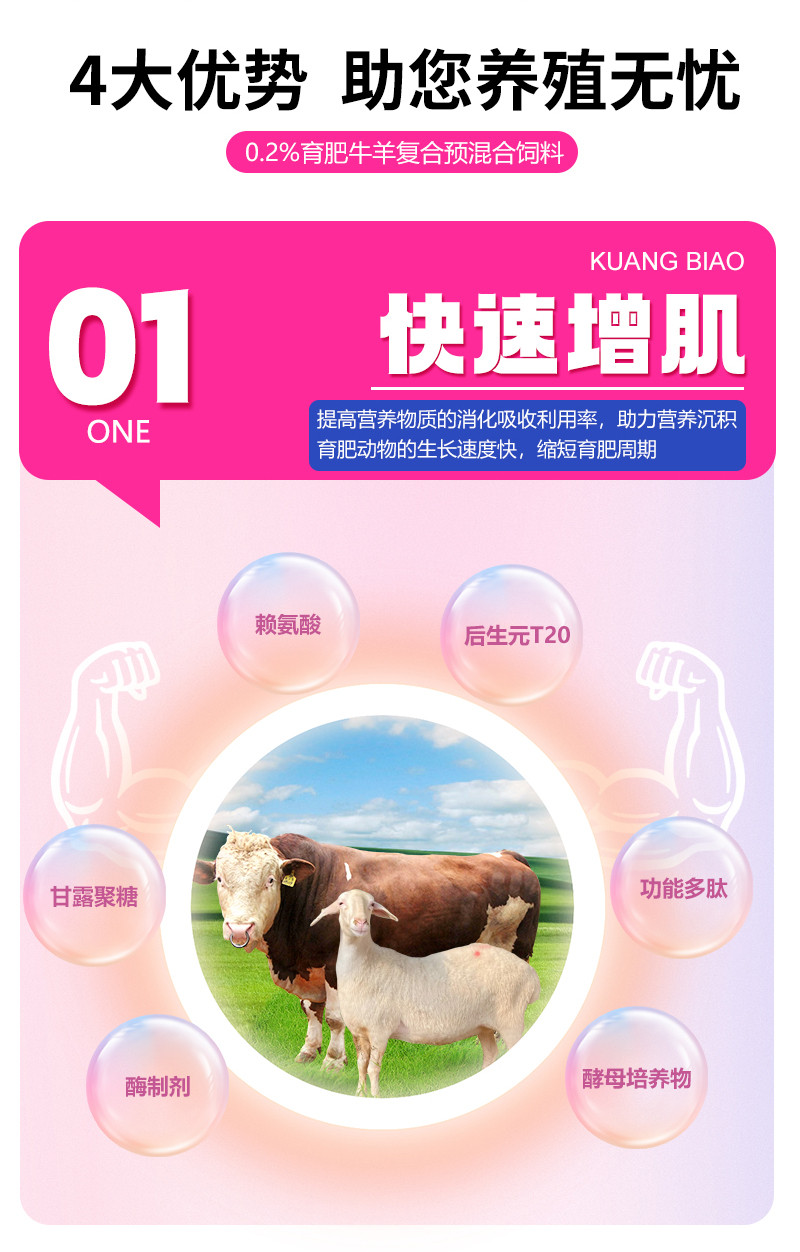 狂膘详情页_03.jpg