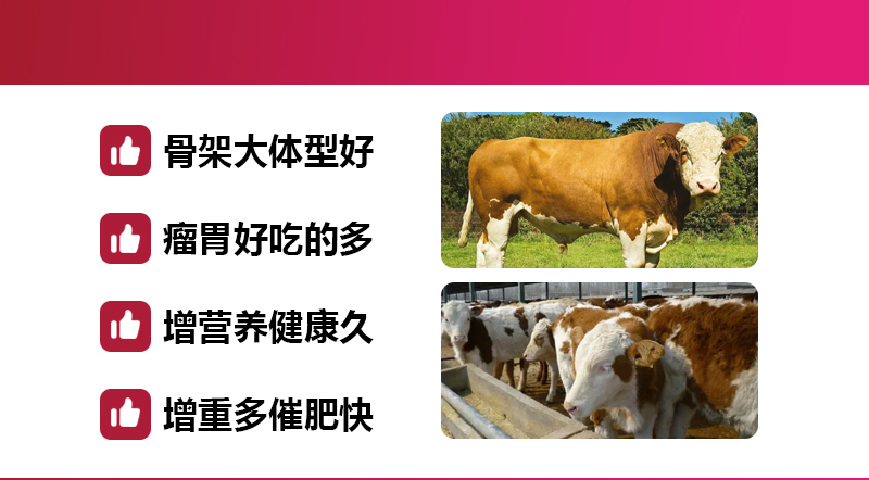 4%拉骨架详情页_02.jpg