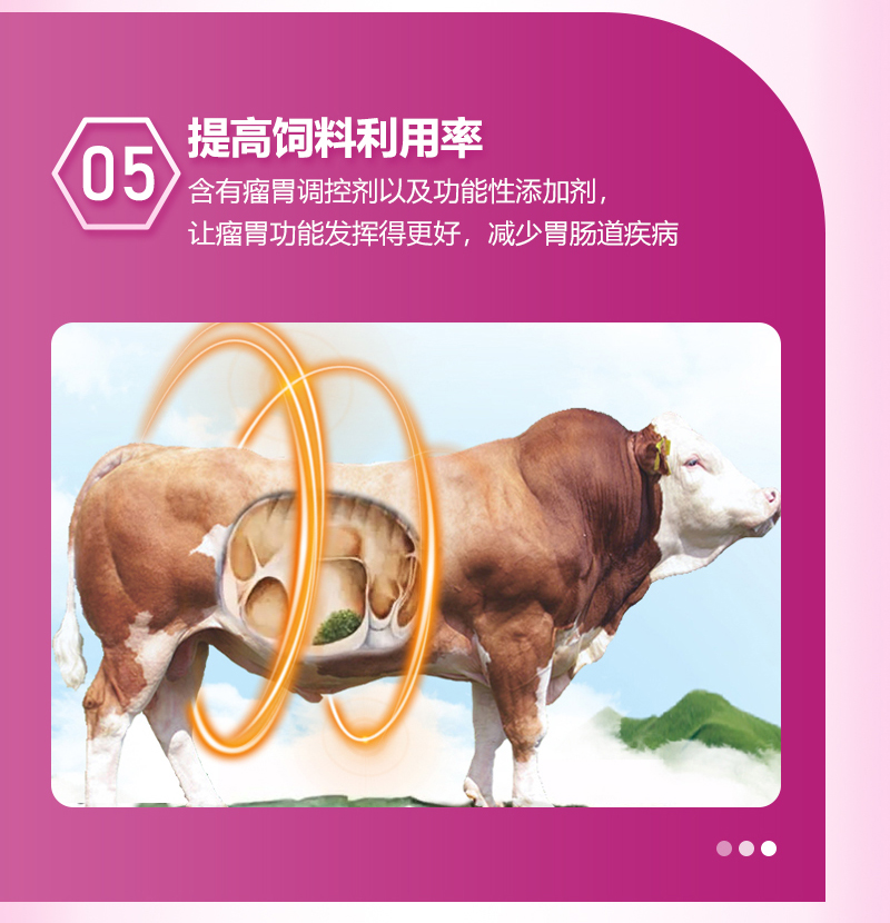 4%育肥牛_07.jpg