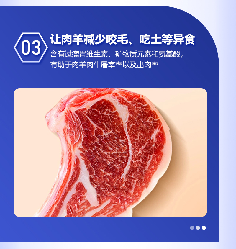 4%育肥羊详情_05.jpg