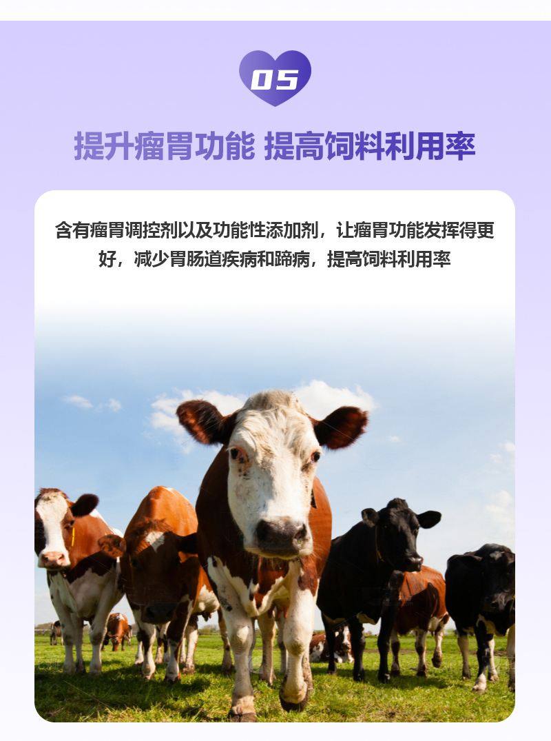 5%繁殖母牛650详情页_07.jpg