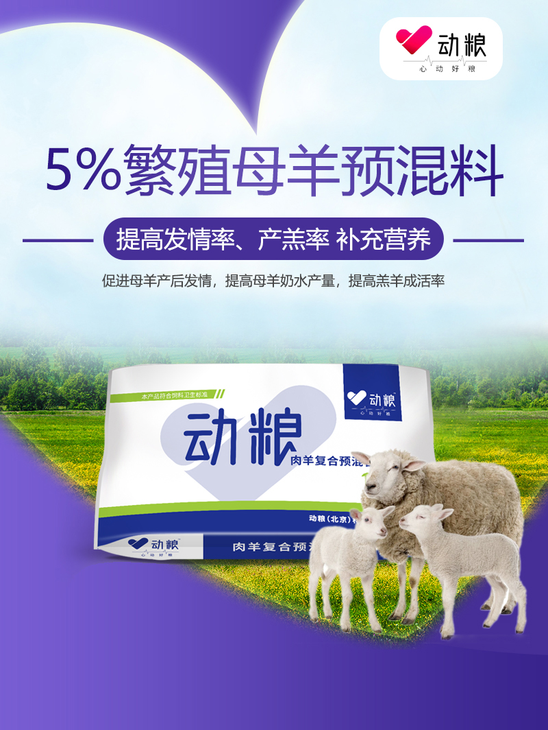 5%繁殖母羊750详情页_01.jpg