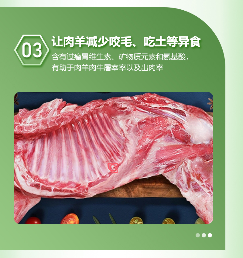 5%育肥羊详情_05.jpg