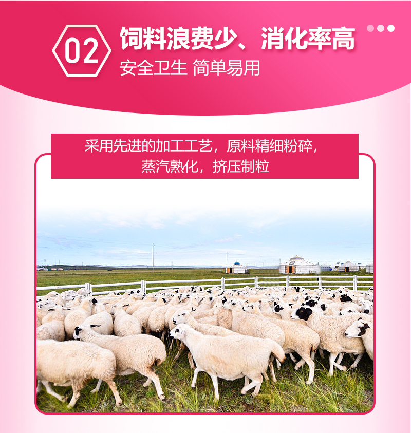 浓缩料详情_06.jpg