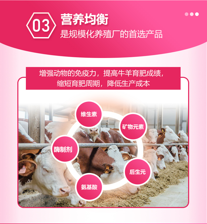 浓缩料详情_07.jpg