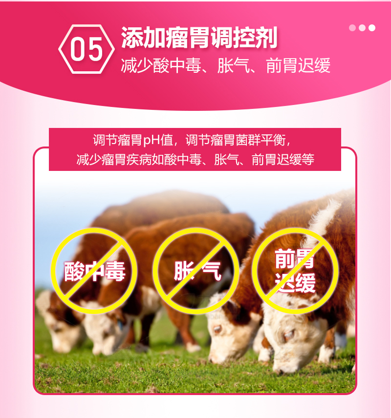 浓缩料详情_09.jpg