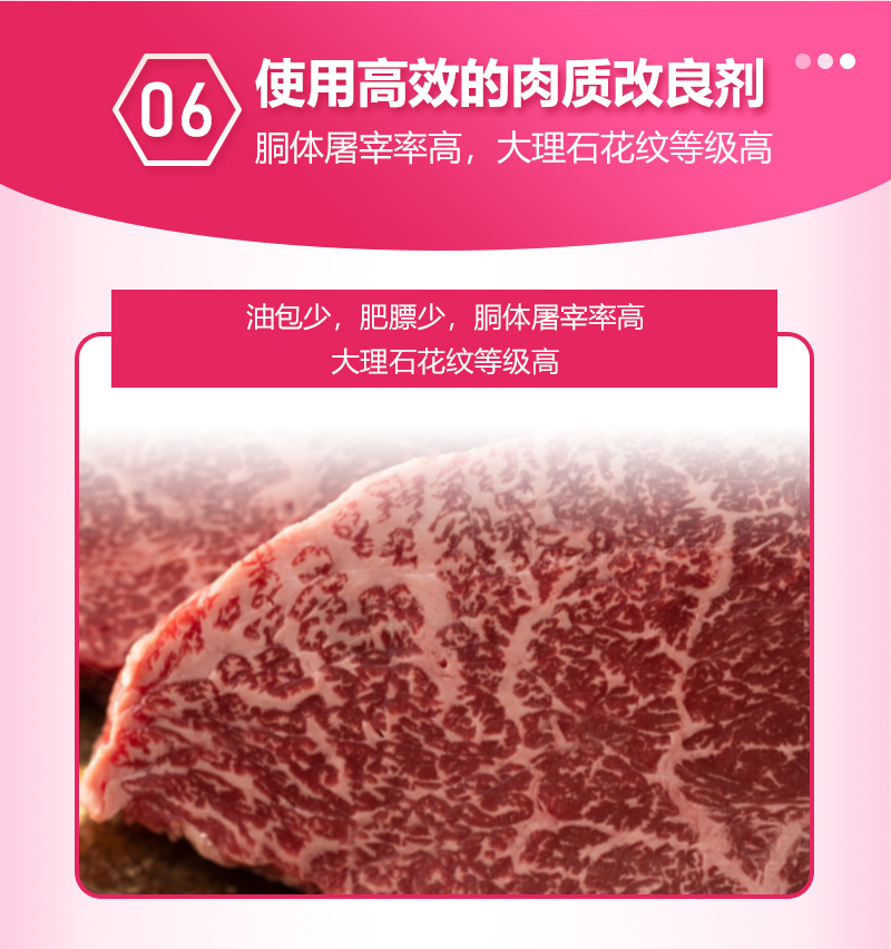 浓缩料详情_10.jpg